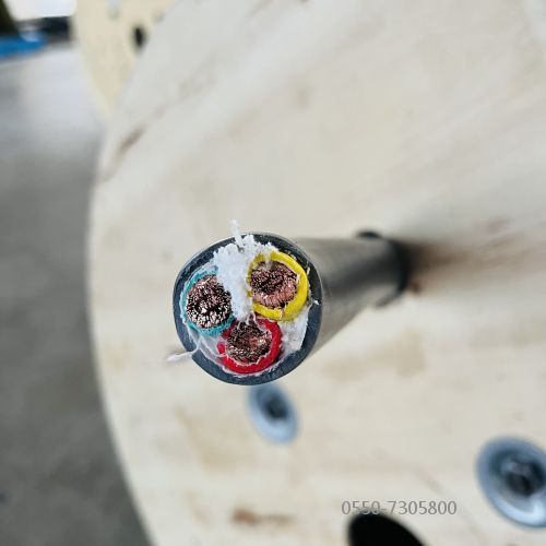 ÌØÖÖµçÀÂ.312.jpg ÌØÖÖµçÀÂ.312.jpg