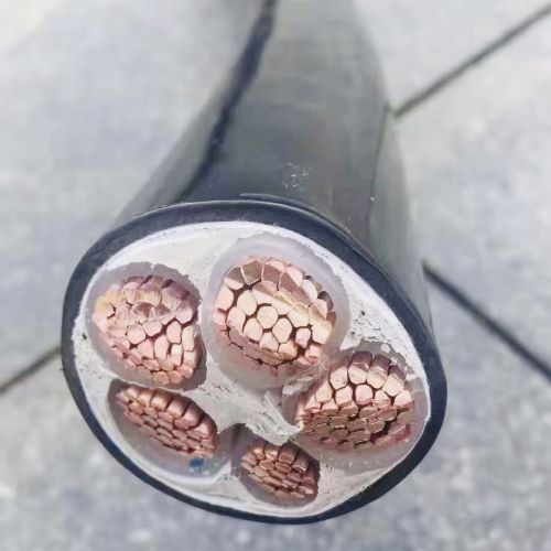 IMG_4001.jpg IMG_4001.jpg