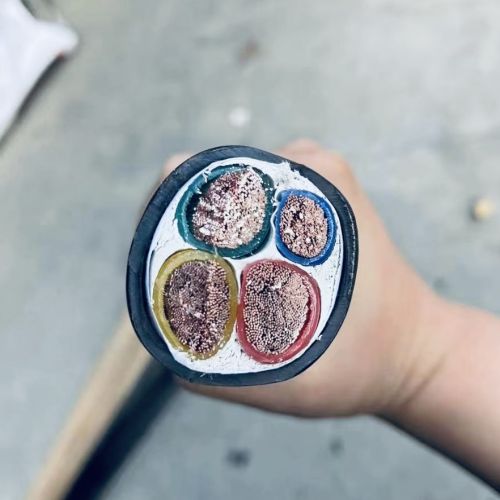 IMG_4002.jpg IMG_4002.jpg