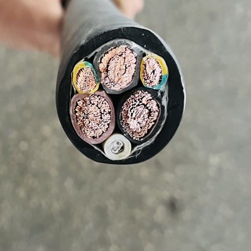 IMG_5305.jpg IMG_5305.jpg