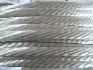 201703131830089785 201703131830089785