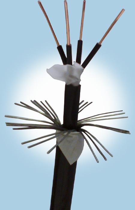 K8������(�й�)����Ӯ�ҡ�һ������