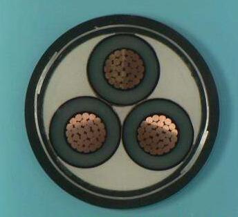 K8������(�й�)����Ӯ�ҡ�һ������