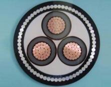 K8������(�й�)����Ӯ�ҡ�һ������