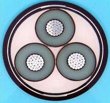 K8������(�й�)����Ӯ�ҡ�һ������