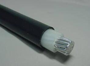 K8������(�й�)����Ӯ�ҡ�һ������