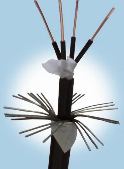 K8������(�й�)����Ӯ�ҡ�һ������