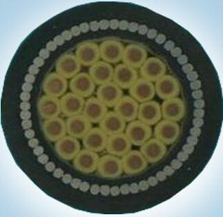 K8������(�й�)����Ӯ�ҡ�һ������