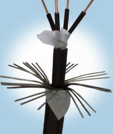 K8������(�й�)����Ӯ�ҡ�һ������