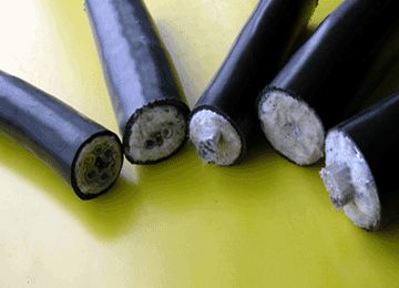 K8������(�й�)����Ӯ�ҡ�һ������