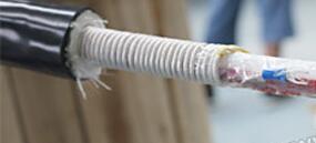 K8������(�й�)����Ӯ�ҡ�һ������