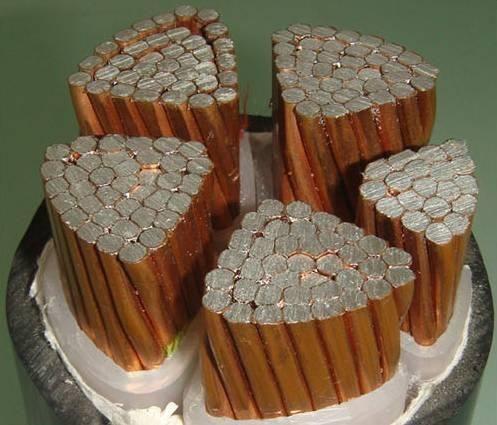 K8������(�й�)����Ӯ�ҡ�һ������