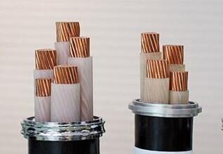 K8������(�й�)����Ӯ�ҡ�һ������