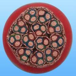 K8������(�й�)����Ӯ�ҡ�һ������