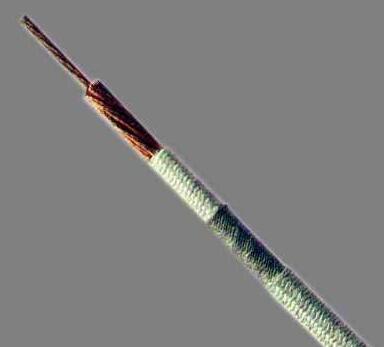 K8������(�й�)����Ӯ�ҡ�һ������