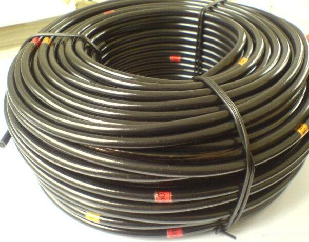 K8������(�й�)����Ӯ�ҡ�һ������