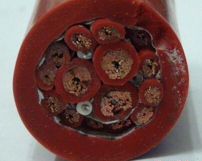 K8������(�й�)����Ӯ�ҡ�һ������