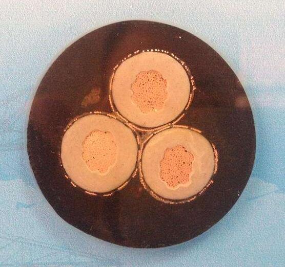 K8������(�й�)����Ӯ�ҡ�һ������