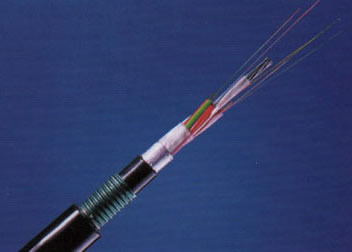 K8������(�й�)����Ӯ�ҡ�һ������