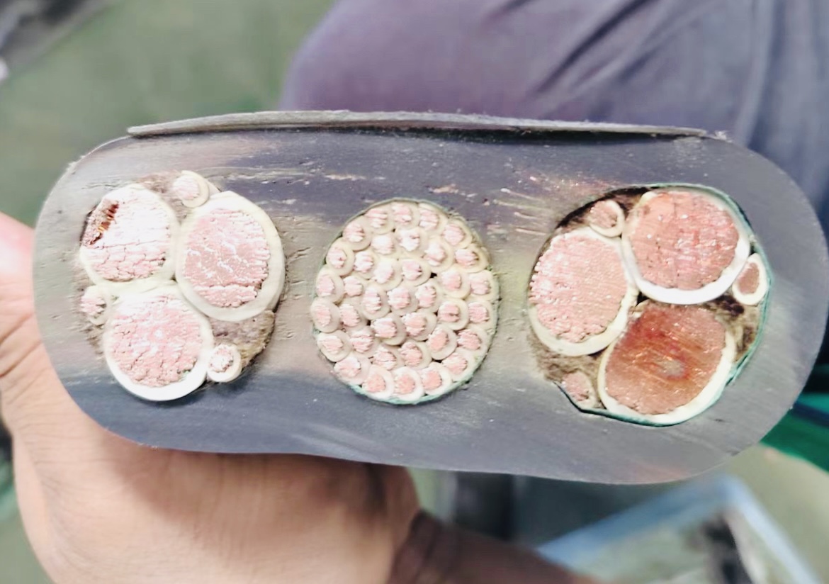 K8������(�й�)����Ӯ�ҡ�һ������