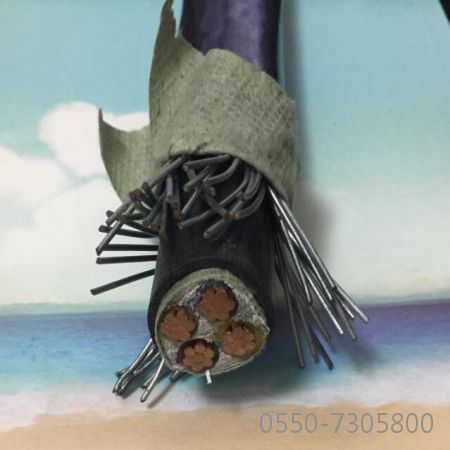 K8������(�й�)����Ӯ�ҡ�һ������