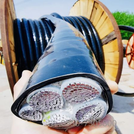 K8������(�й�)����Ӯ�ҡ�һ������