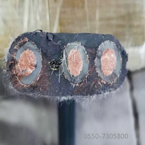 K8������(�й�)����Ӯ�ҡ�һ������