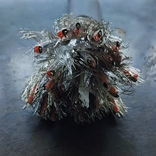 K8������(�й�)����Ӯ�ҡ�һ������