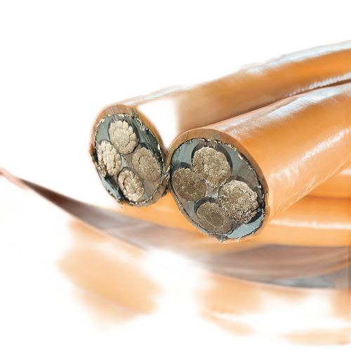 K8������(�й�)����Ӯ�ҡ�һ������