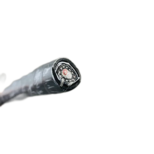 K8������(�й�)����Ӯ�ҡ�һ������