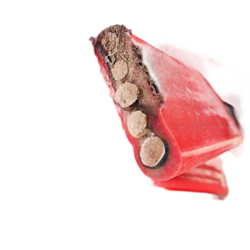 K8������(�й�)����Ӯ�ҡ�һ������