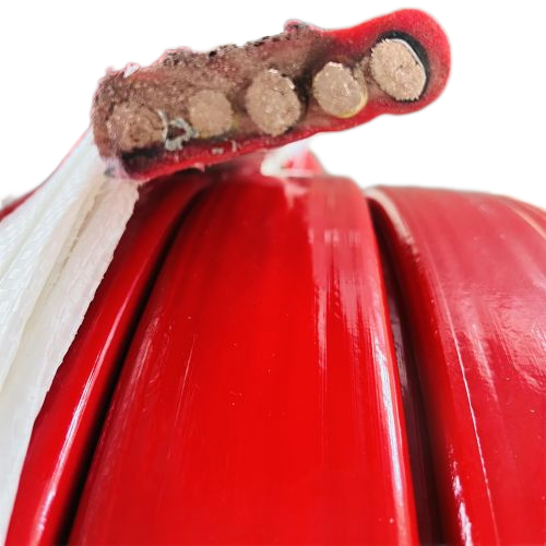 K8·凯发(中国)天生赢家·一触即发