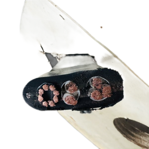 K8������(�й�)����Ӯ�ҡ�һ������