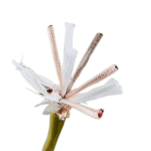 K8������(�й�)����Ӯ�ҡ�һ������