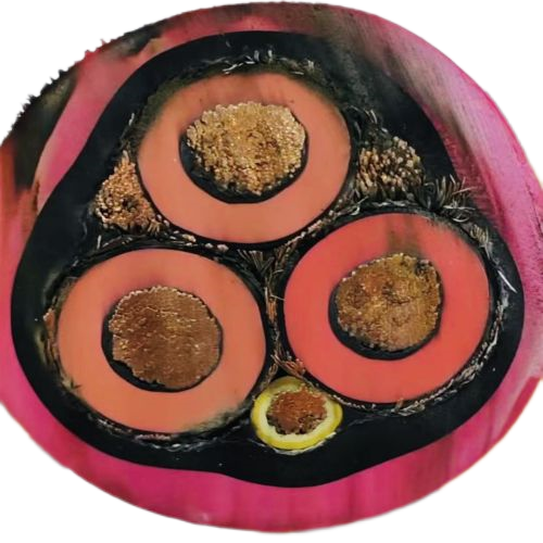 K8������(�й�)����Ӯ�ҡ�һ������