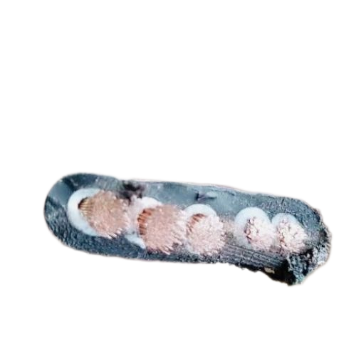 K8������(�й�)����Ӯ�ҡ�һ������