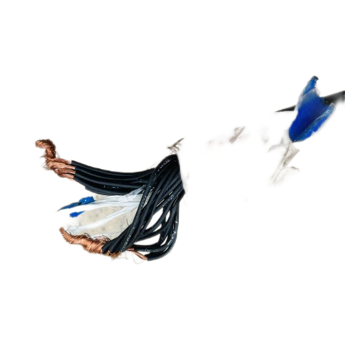 K8������(�й�)����Ӯ�ҡ�һ������