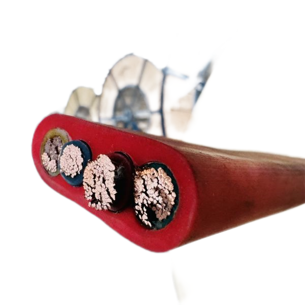 K8������(�й�)����Ӯ�ҡ�һ������