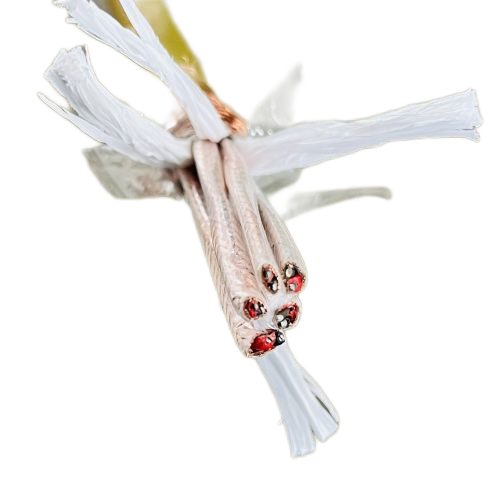 K8·凯发(中国)天生赢家·一触即发