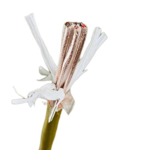 K8·凯发(中国)天生赢家·一触即发