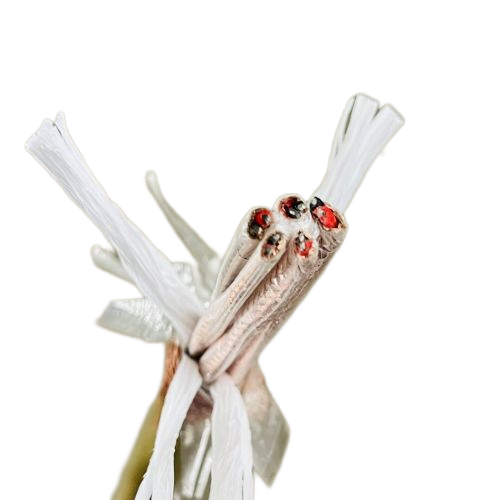 K8������(�й�)����Ӯ�ҡ�һ������