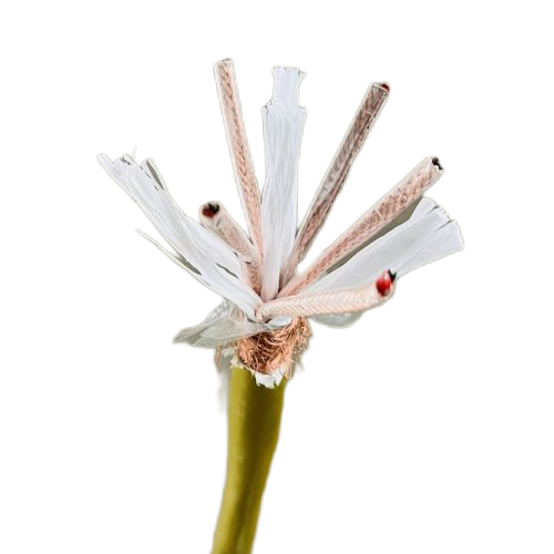 K8������(�й�)����Ӯ�ҡ�һ������