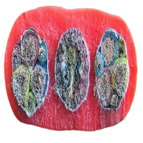 K8������(�й�)����Ӯ�ҡ�һ������