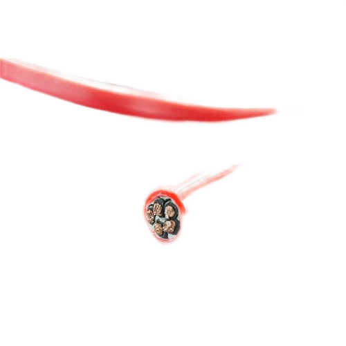 K8������(�й�)����Ӯ�ҡ�һ������