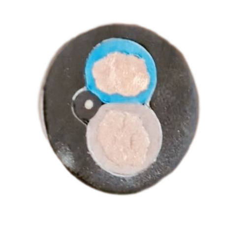 K8������(�й�)����Ӯ�ҡ�һ������