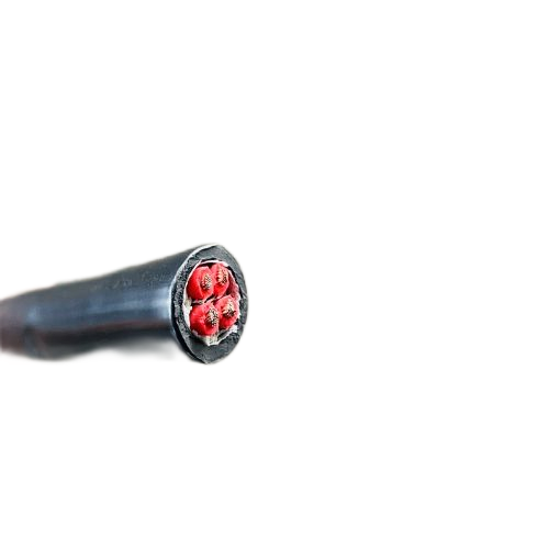 K8������(�й�)����Ӯ�ҡ�һ������