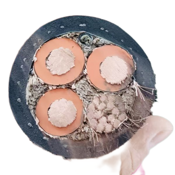 K8������(�й�)����Ӯ�ҡ�һ������