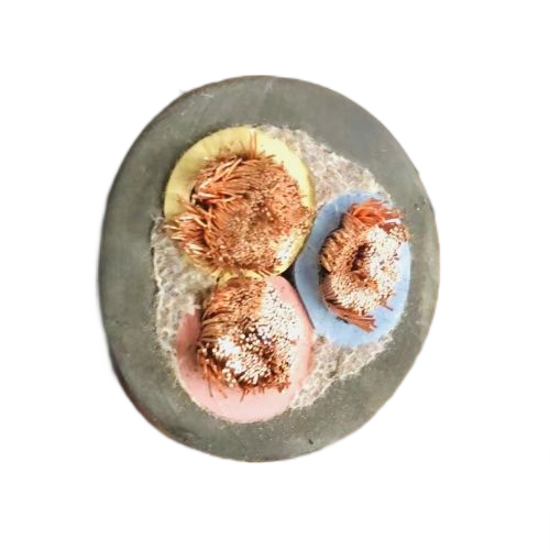 K8������(�й�)����Ӯ�ҡ�һ������