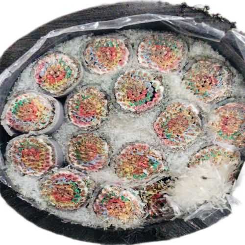 K8·凯发(中国)天生赢家·一触即发