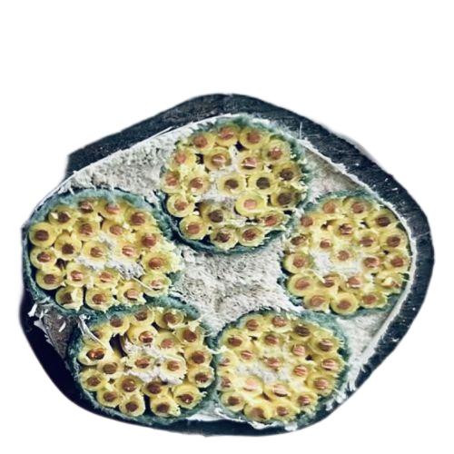 K8������(�й�)����Ӯ�ҡ�һ������